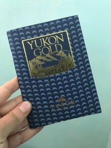 Picture of the cover of my passport